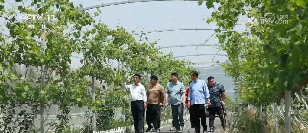 各地开展丰富多样助残日活动 用科技“点亮”残疾人美好生活