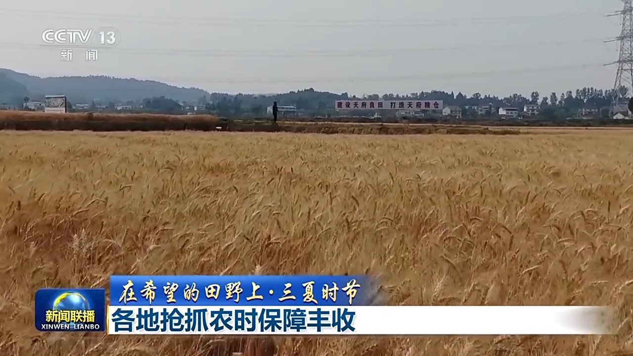 在希望的田野上丨科技助力“三夏”开启“加速度” 今年粮食丰收有保障