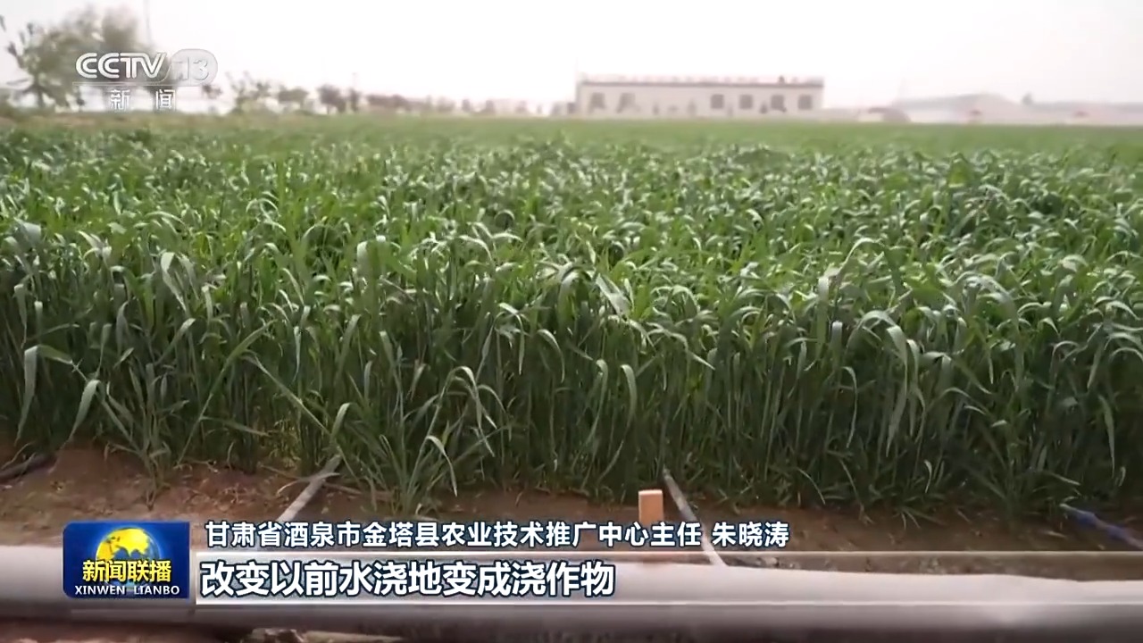 在希望的田野上丨科技助力“三夏”开启“加速度” 今年粮食丰收有保障