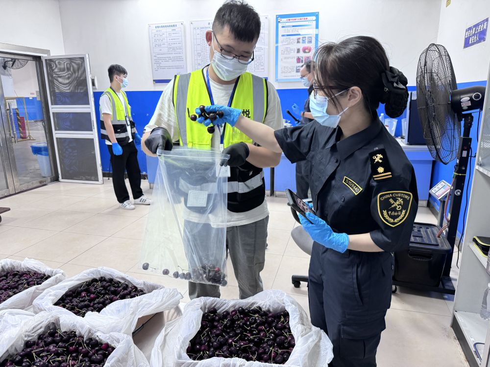 高质量发展调研行｜海陆空口岸“进出”忙 外贸展现勃勃生机