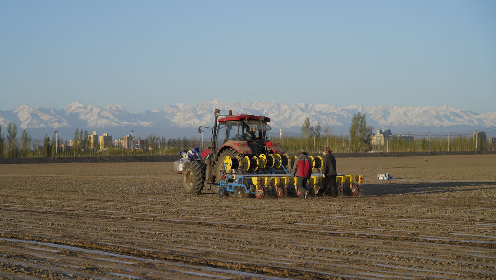 植棉天山下——新疆棉农的奋斗故事