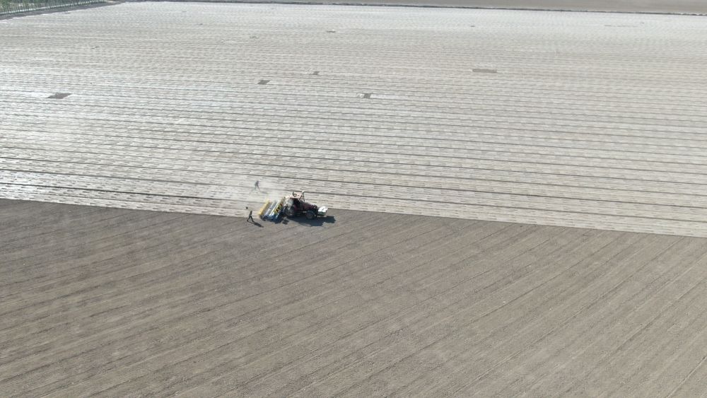 植棉天山下——新疆棉农的奋斗故事