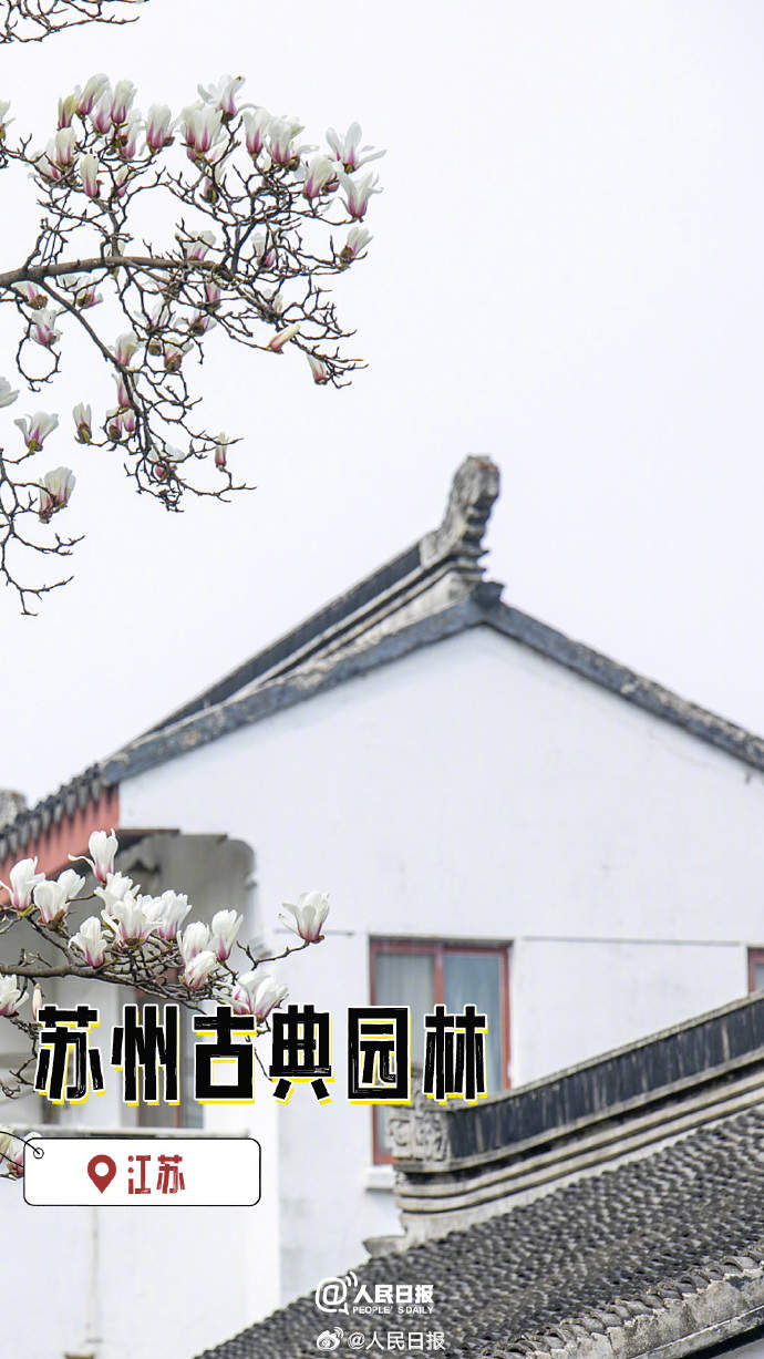 好美！中国文化遗产有多绝