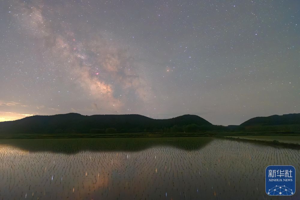 新华全媒＋丨初夏“北大仓”舒展稻田星光画卷