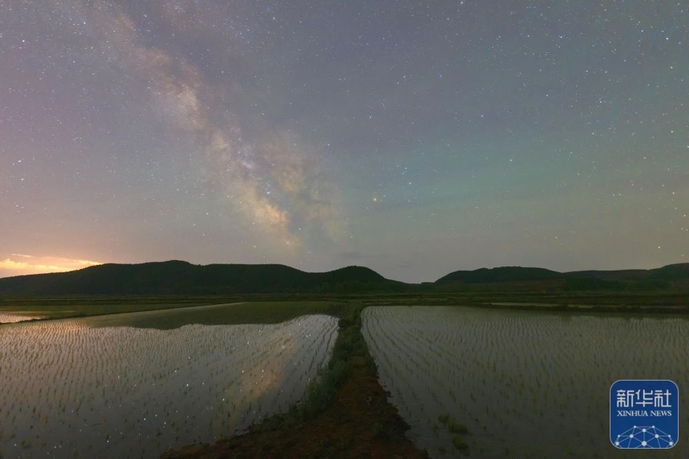 新华全媒＋丨初夏“北大仓”舒展稻田星光画卷