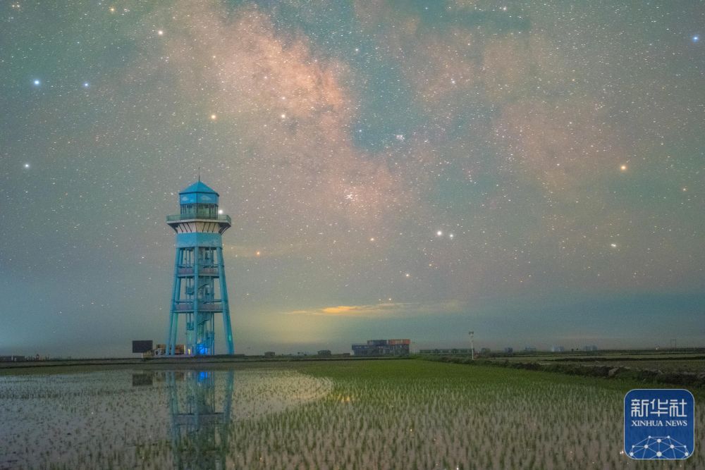 新华全媒＋丨初夏“北大仓”舒展稻田星光画卷