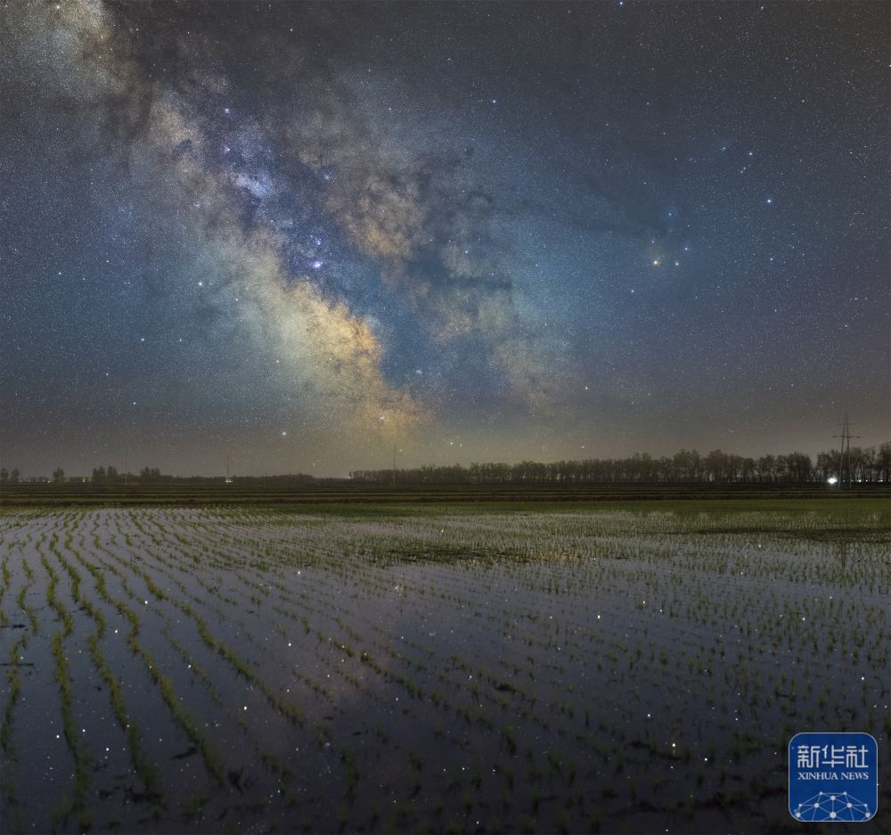 新华全媒＋丨初夏“北大仓”舒展稻田星光画卷