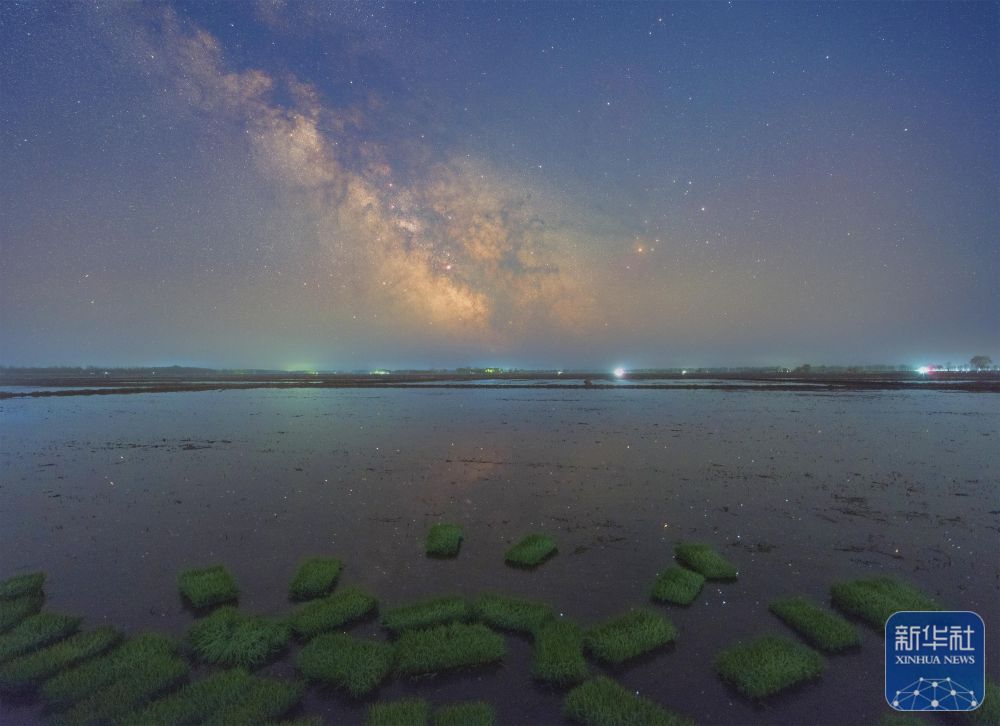 新华全媒＋丨初夏“北大仓”舒展稻田星光画卷