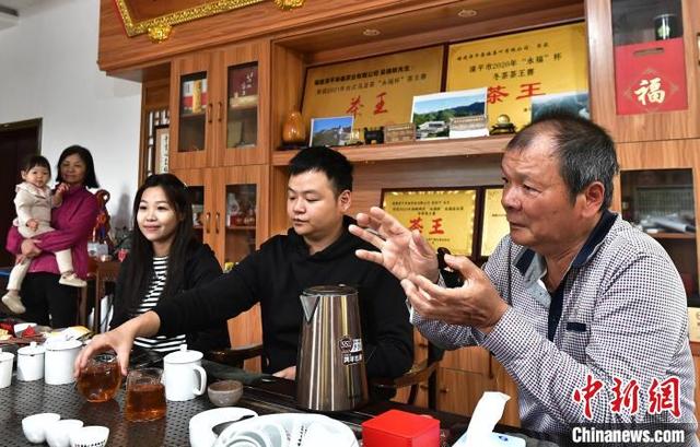 “大陆阿里山”的台湾父子种茶人：两岸一杯茶
