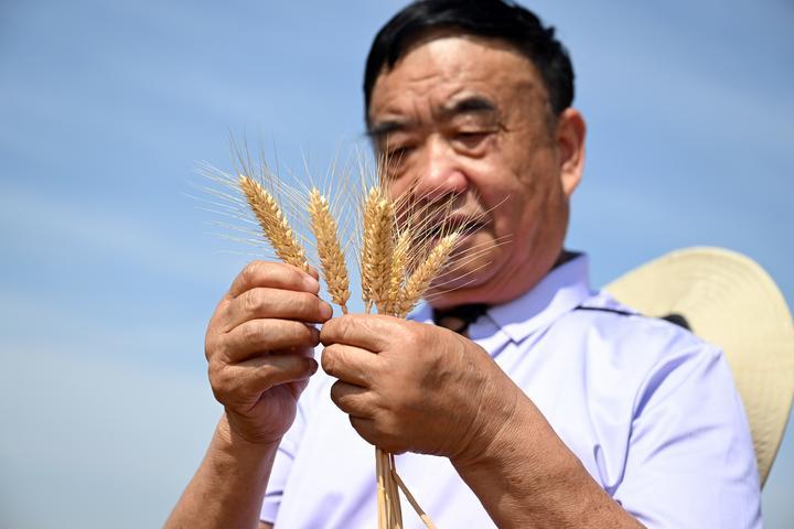 镜观·回响 | 种粮大户徐淙祥：“又是一个丰收年”