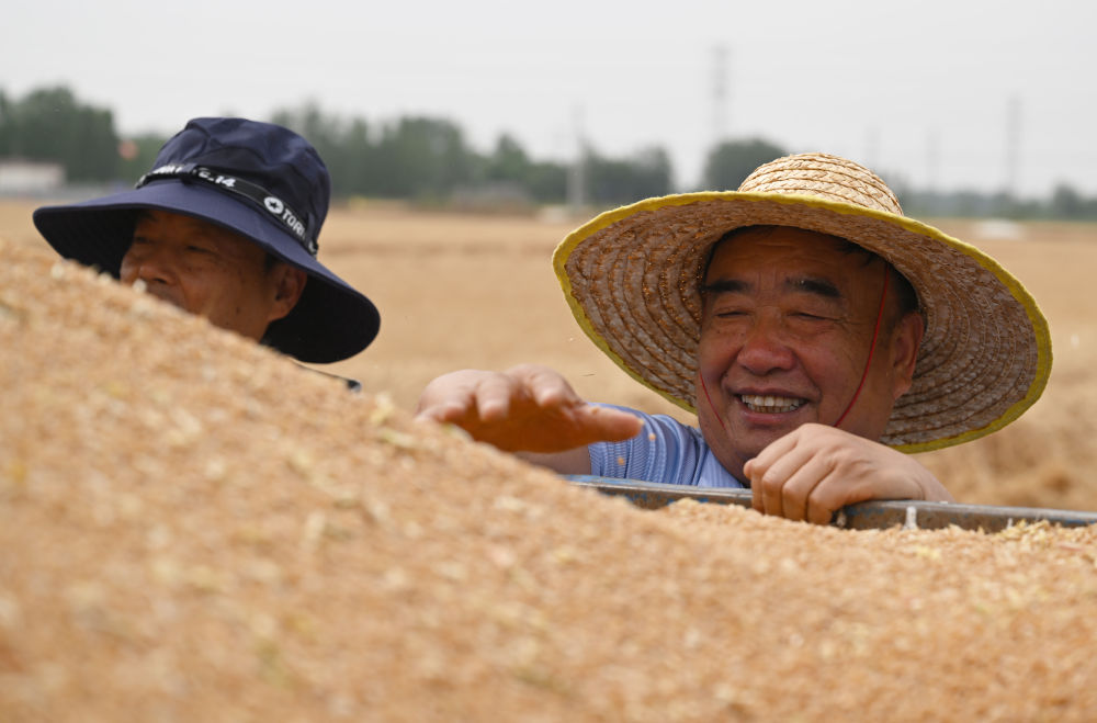 镜观·回响 | 种粮大户徐淙祥：“又是一个丰收年”