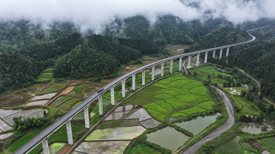 美丽乡村“稻”路