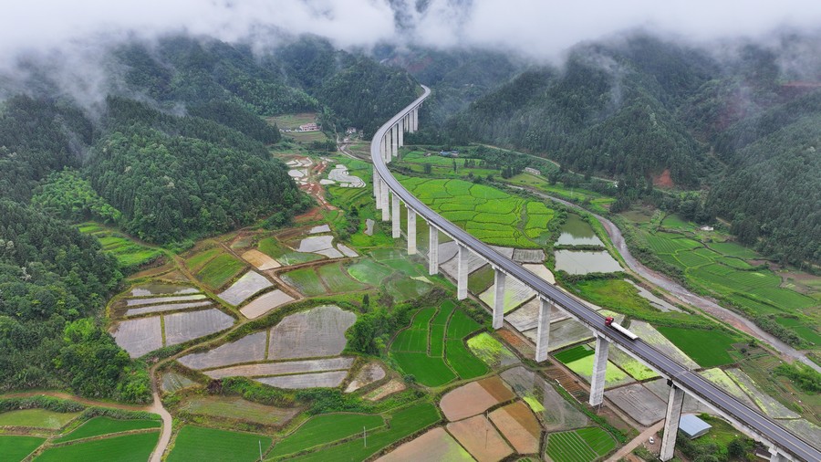 美丽乡村“稻”路