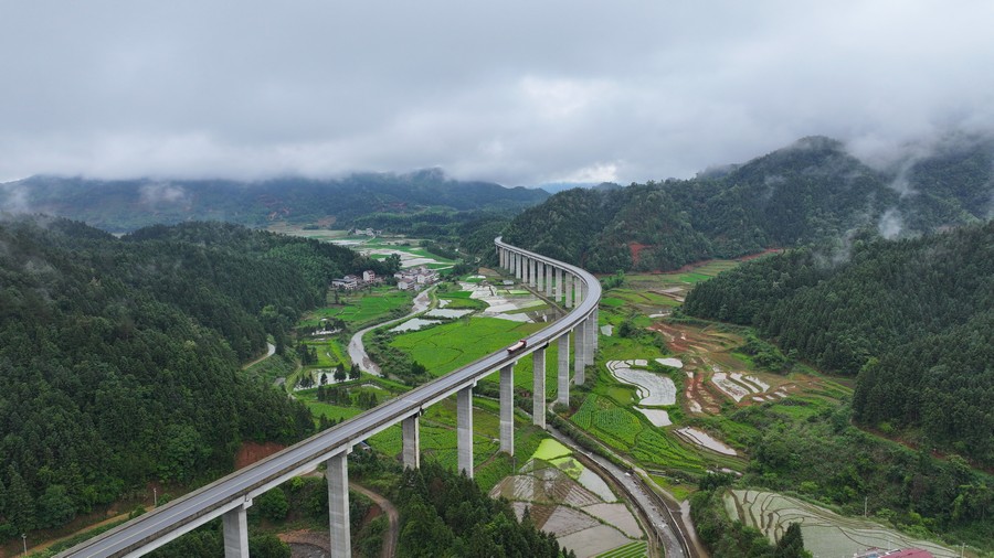 美丽乡村“稻”路