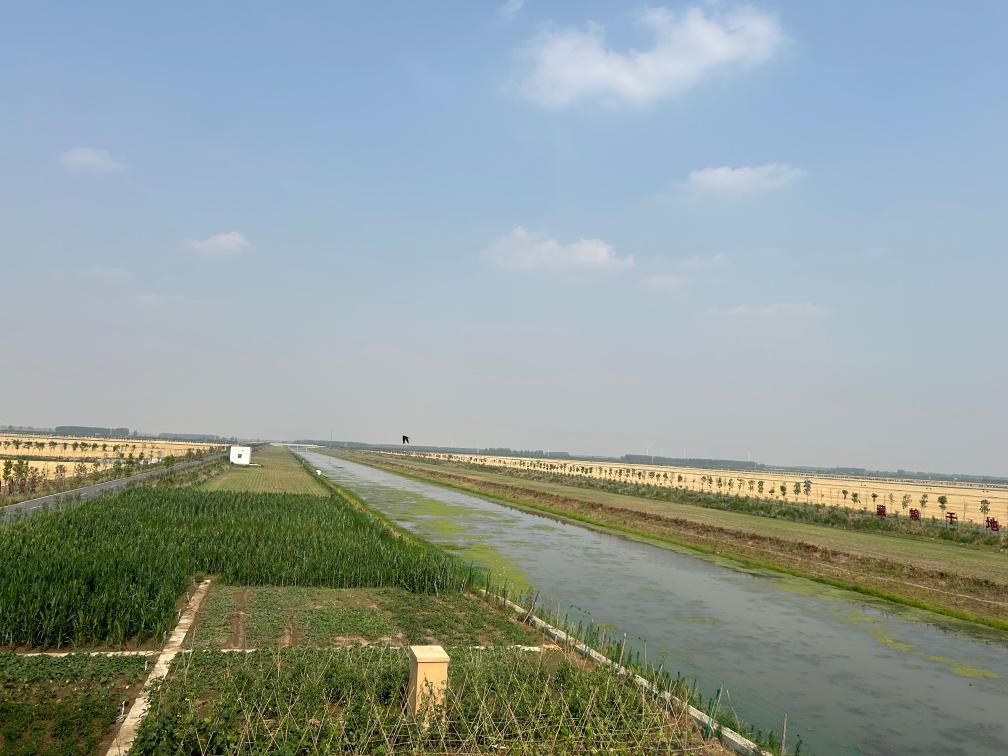 北方产粮大省全力抗旱保夏播