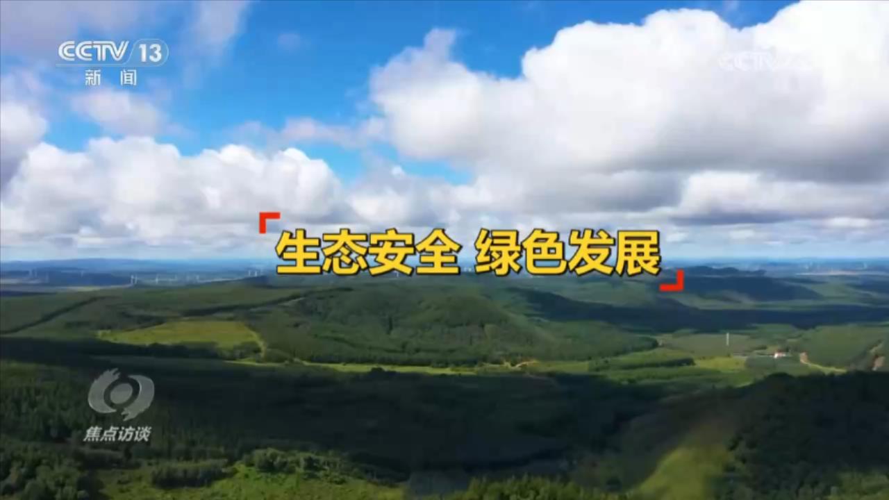 焦点访谈：区域经济新格局 必须作答的时代命题