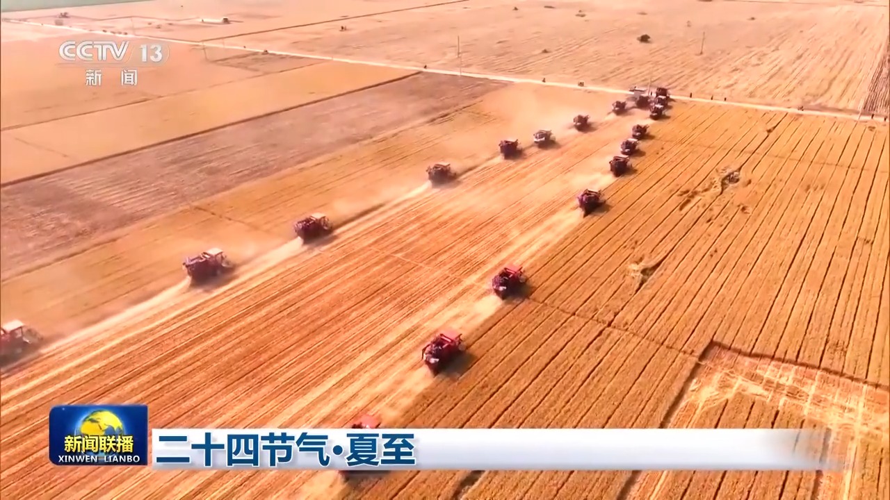文化中国行丨处处闻蝉响遍地听蛙声 愿一切美好如夏而至