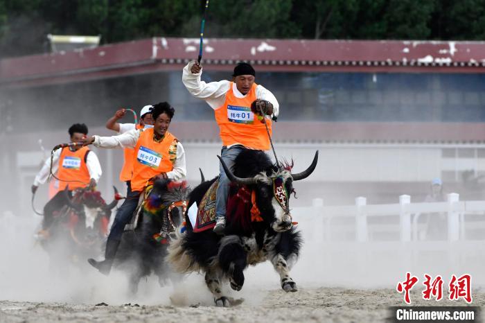 西藏民族传统体育运动从田野走进赛场