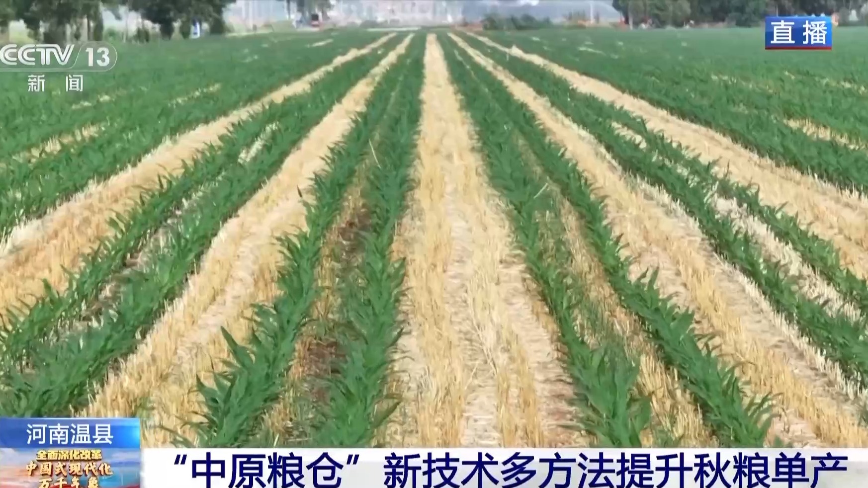 让农作物精准“喝水” 这里耕出“智慧田”