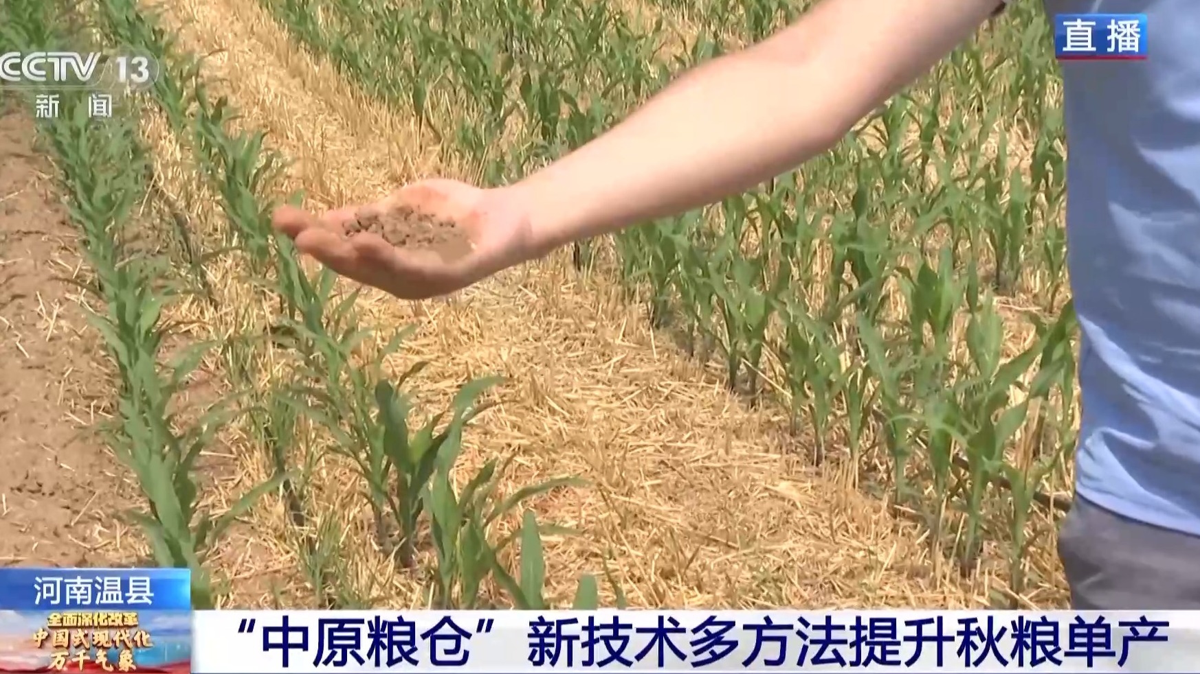 让农作物精准“喝水” 这里耕出“智慧田”