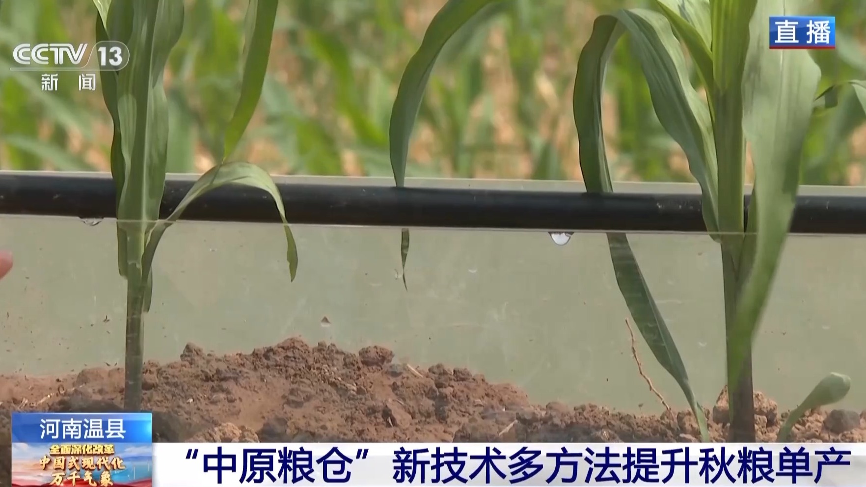 让农作物精准“喝水” 这里耕出“智慧田”