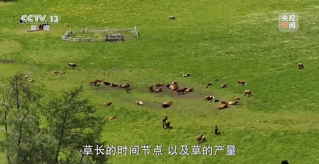 阿勒泰延续千年的夏季转场 如今有了什么新变化？