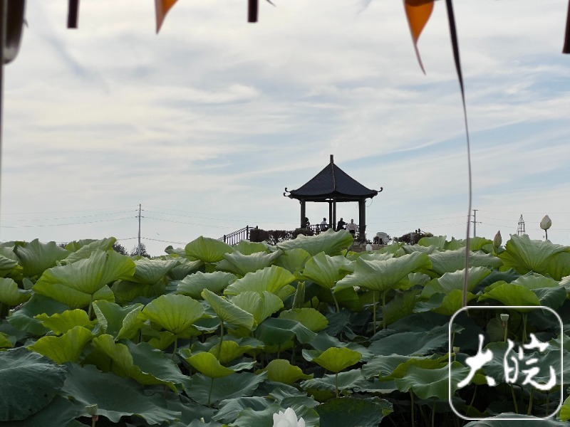 何以中国·运载千秋| 大运河淮北段：昔日绘盛景 一脉传古今