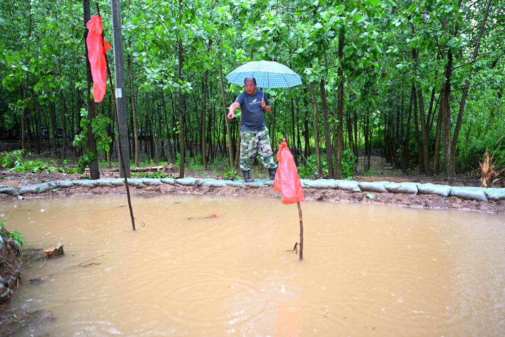 聚焦防汛抗洪丨五洲村：防汛一线守护江心洲