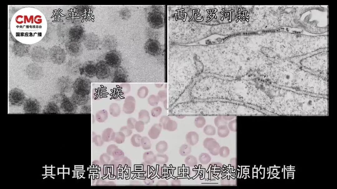 洪水泡过的食物还能吃吗？专家提醒洪水过后这4类传染病要预防→