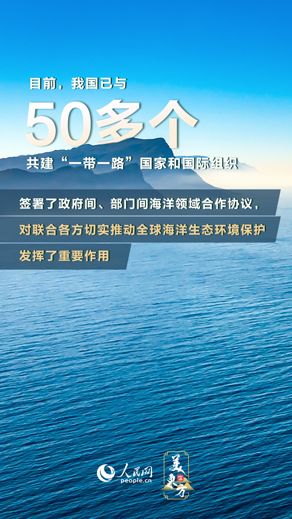 《美在东方》 | 守护蓝色家园 共享繁荣之海、美丽之海