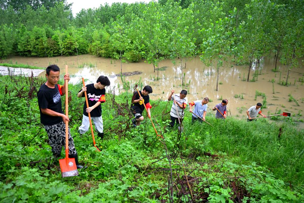 聚焦防汛抗洪|盯水情 巡堤防 保民生——“千里淮河第一闸”王家坝闸防汛一线直击