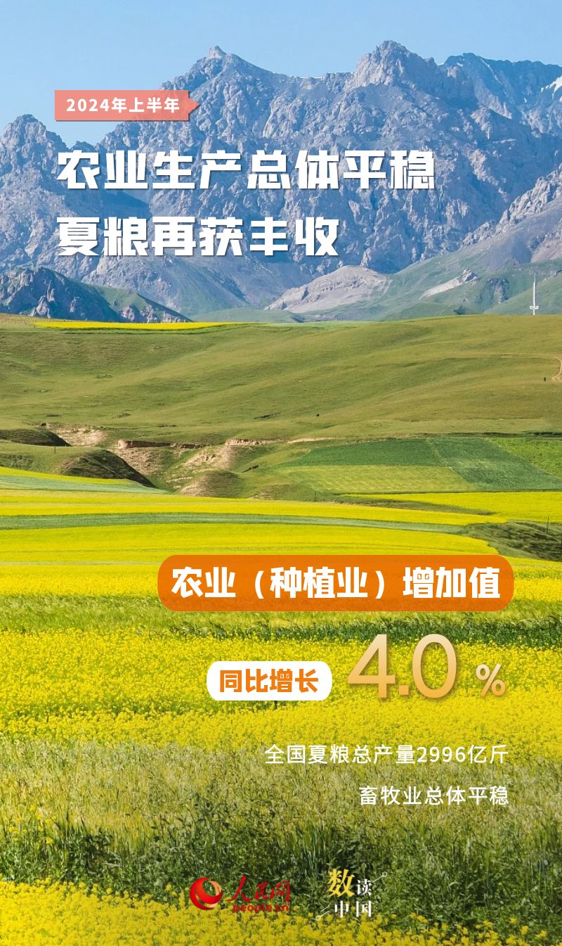 数读中国 | 十组数据速览2024年中国经济半年报