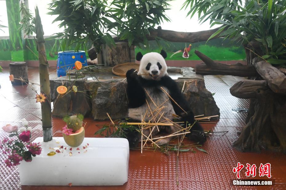 广州持续高温 动物“消暑”享清凉 广州持续高温 动物“消暑”享清凉