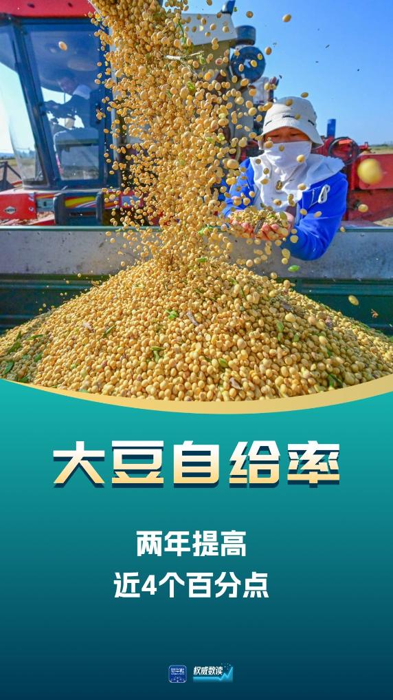 权威数读丨2995.6亿斤 夏粮产量再创历史新高