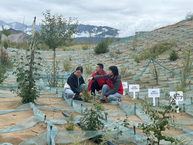 研究显示20年间西藏生态格局变化率低于1%