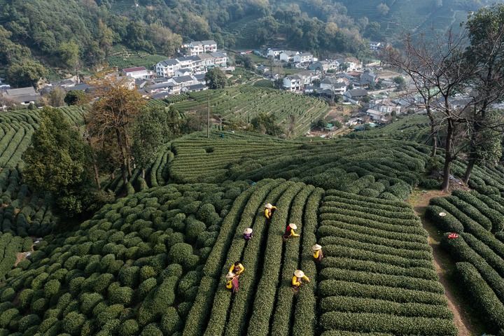 一湖千年 再续华章——世界遗产保护发展的“西湖答卷”