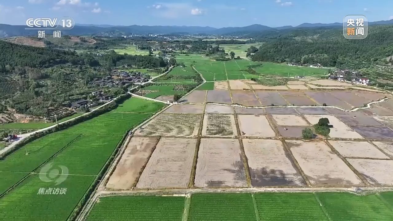 焦点访谈丨热浪滚滚，多地如何应对持续高温“烤”验？