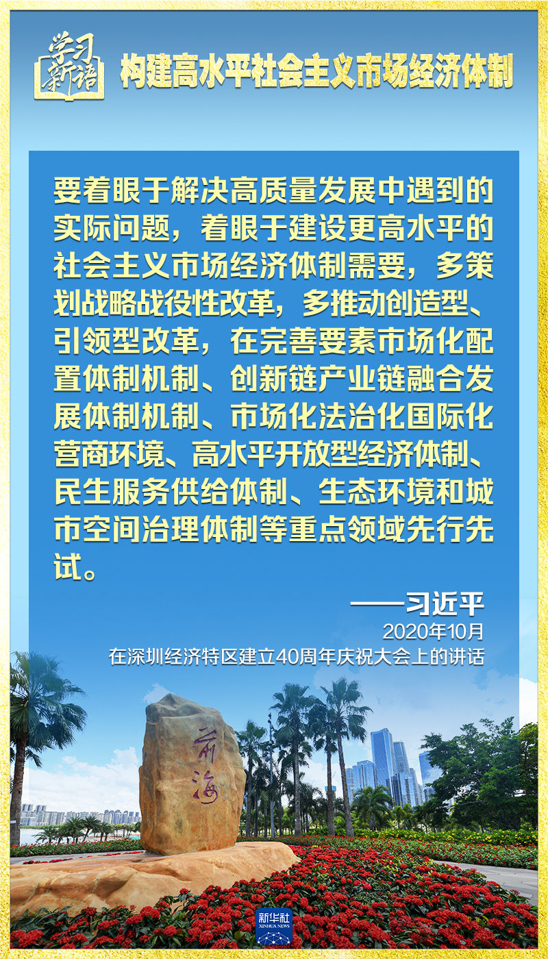 学习新语｜领悟“七个聚焦”：构建高水平社会主义市场经济体制