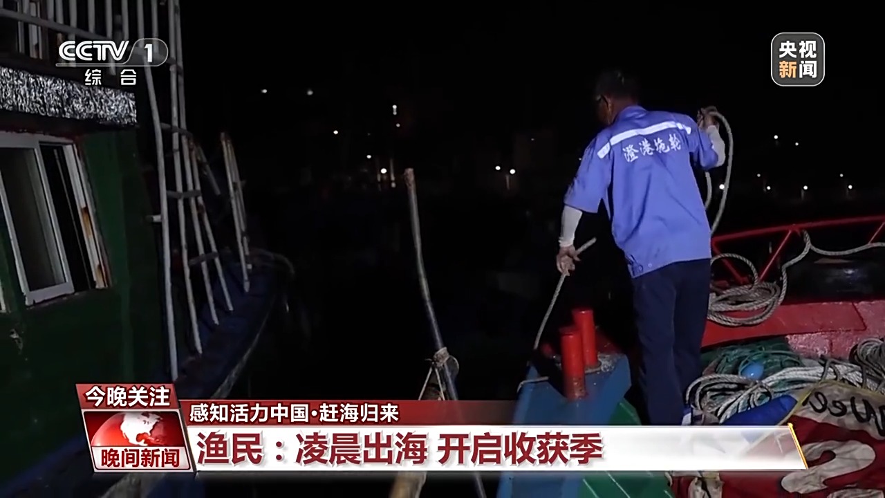 又是开渔季！走，跟着记者去赶海“寻鲜”
