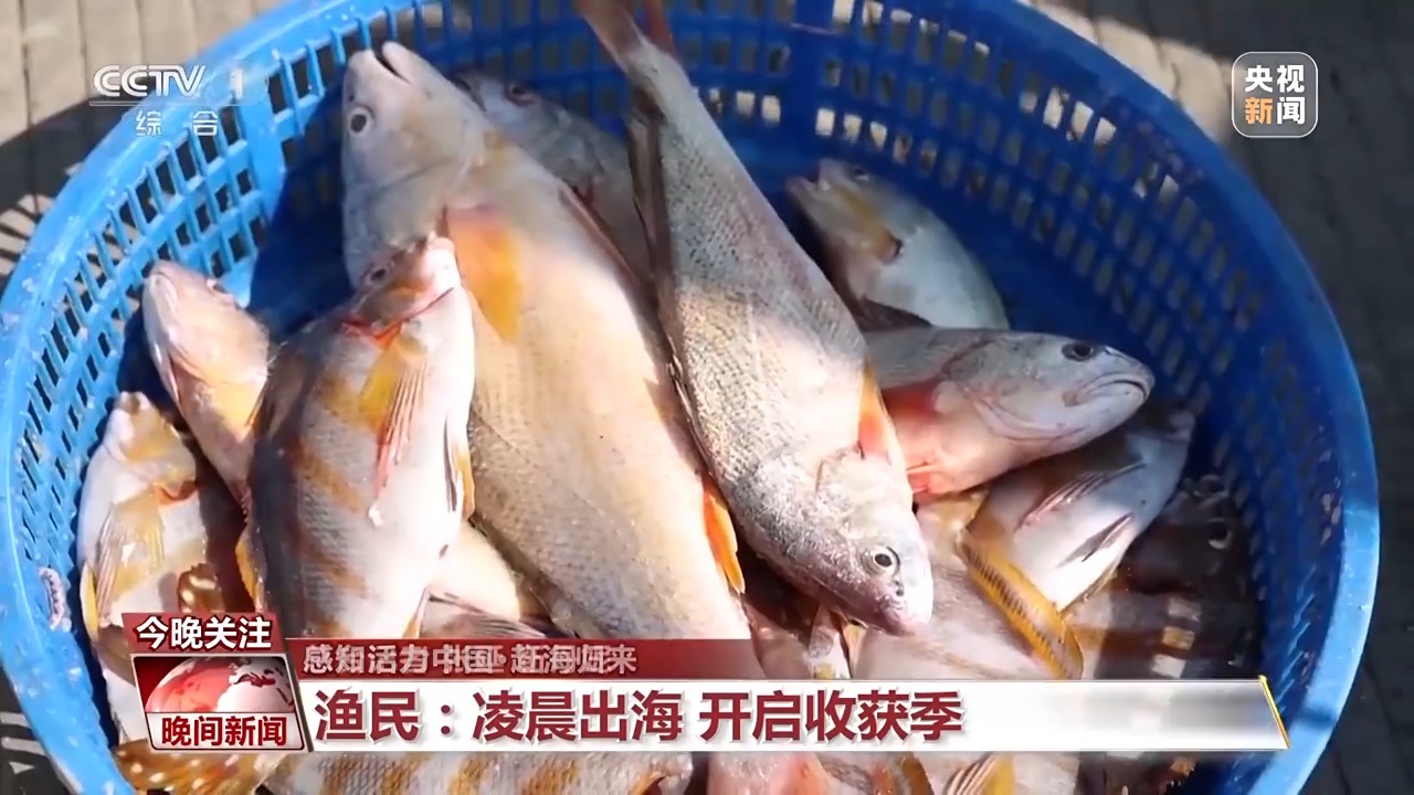又是开渔季！走，跟着记者去赶海“寻鲜”