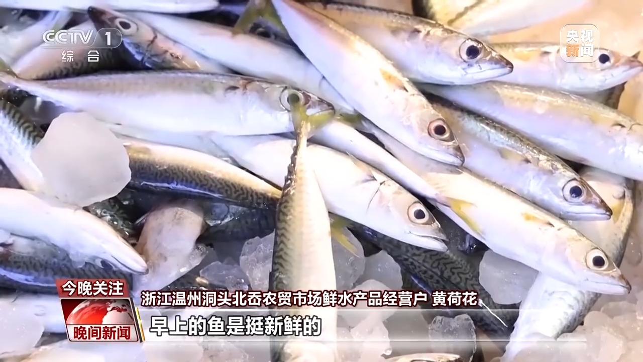 又是开渔季！走，跟着记者去赶海“寻鲜”