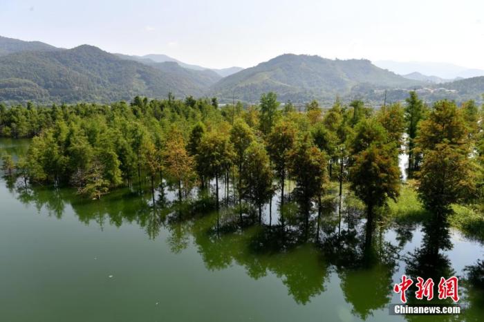 （高质量发展调研行）从“养猪村”到“旅游村” 这个山乡小村如何绿色“转身”？