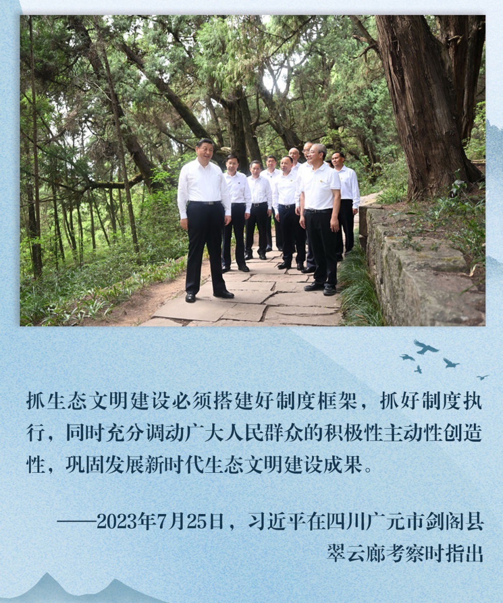 镜观·领航｜巩固发展新时代生态文明建设成果