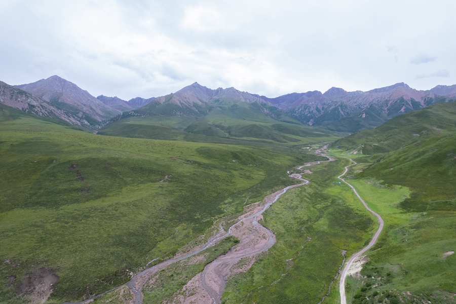 学习进行时丨“绿水青山就是金山银山”——习近平推动生态环境保护的故事