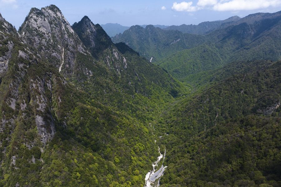 学习进行时｜“绿水青山就是金山银山”——习近平推动生态环境保护的故事