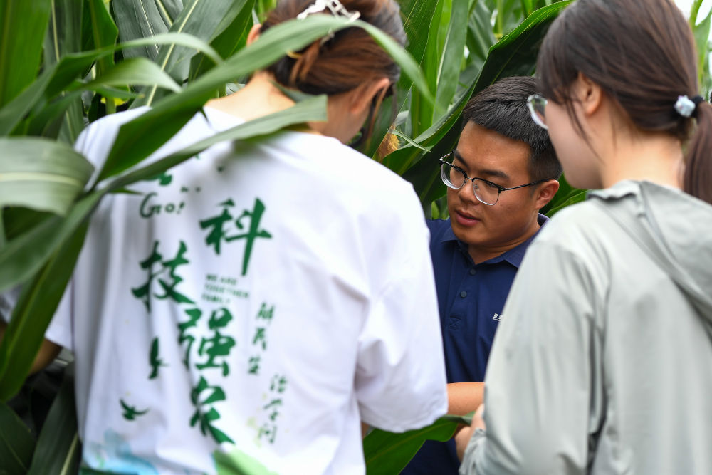 镜观·回响｜当好国家粮食稳产保供“压舱石”