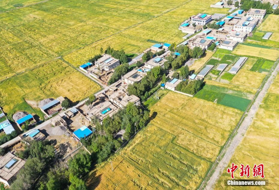 西藏白朗县：田园风光美