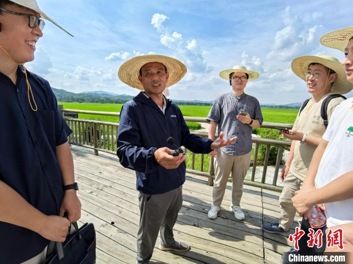 “红色小上海”福建长汀的生态奇迹