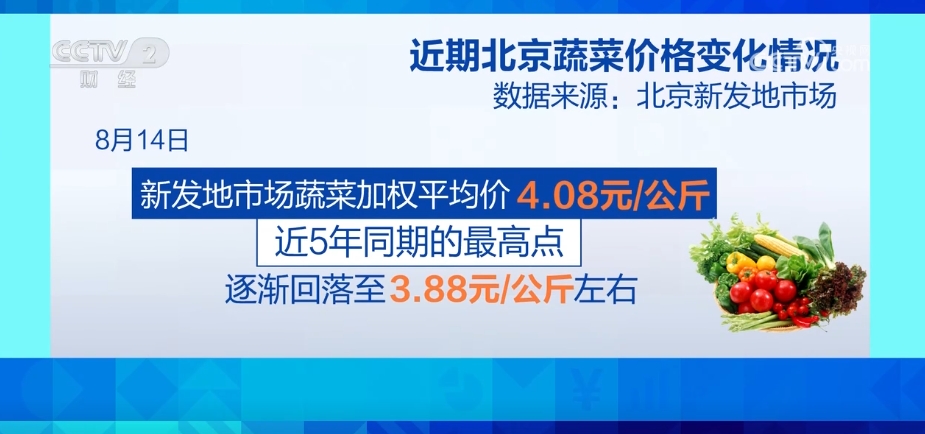 市场供应充足 全国蔬菜价格涨幅收窄 9月以后菜价有望逐步回落