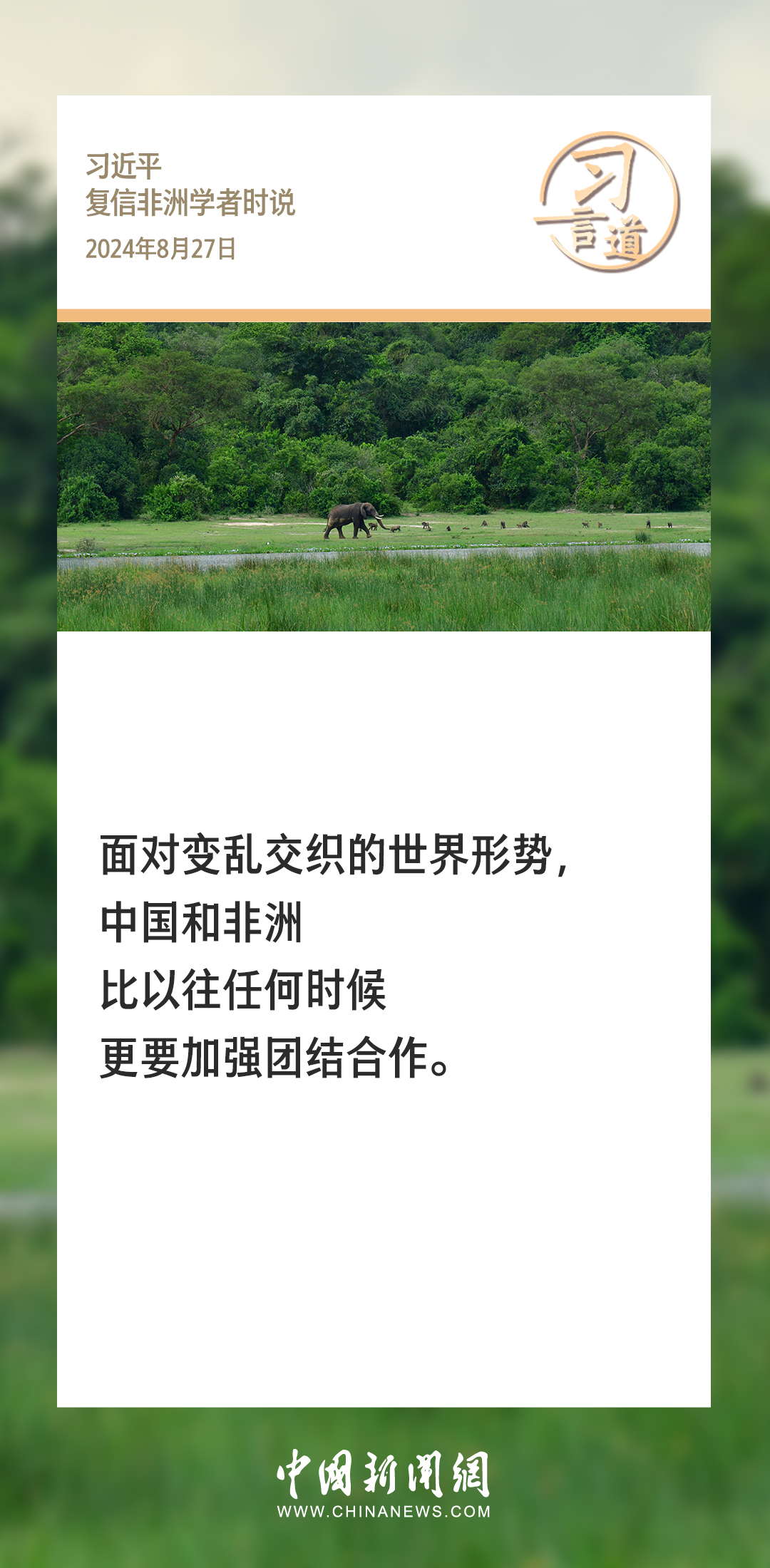 习言道｜中非人民具有天然的亲近感